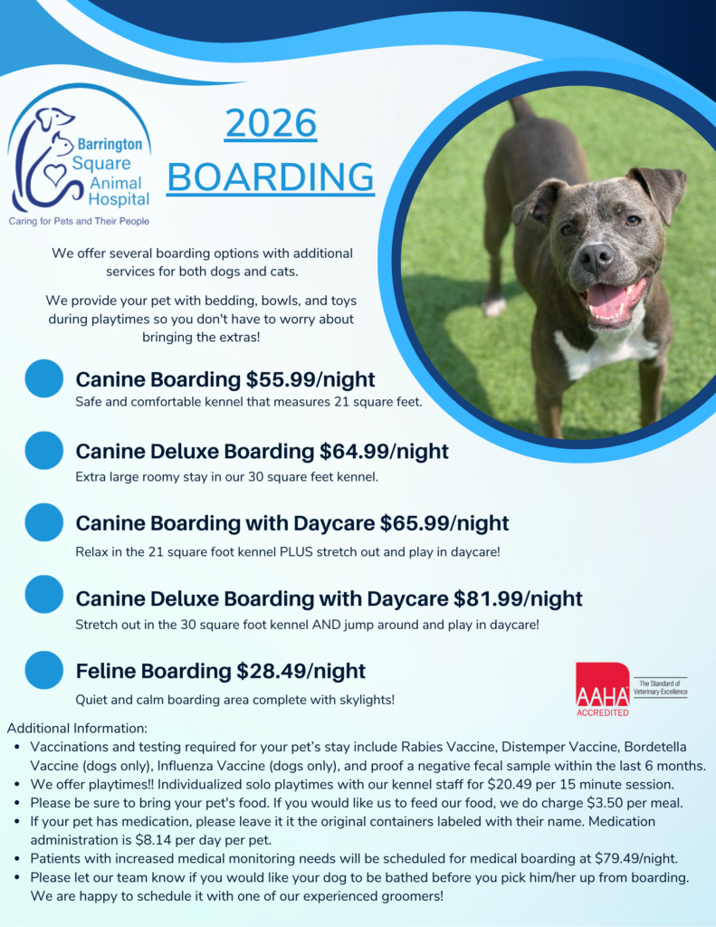 2026 Boarding