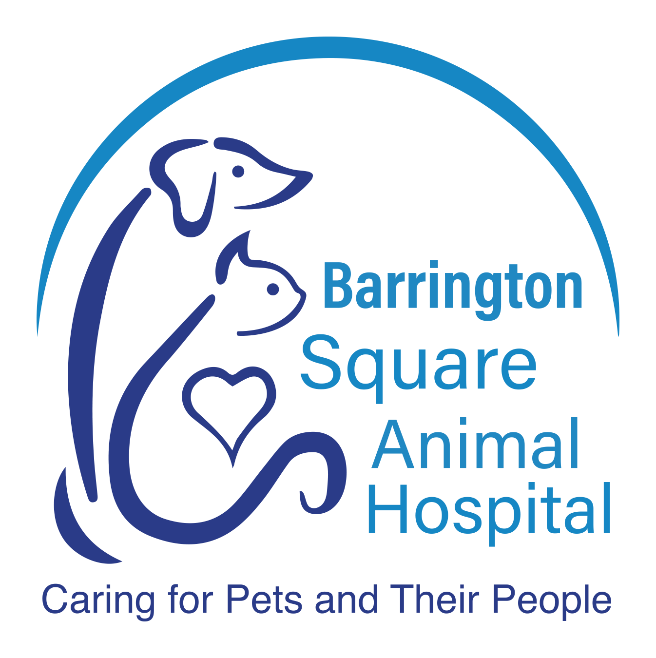 barrington square animal hospital higgins